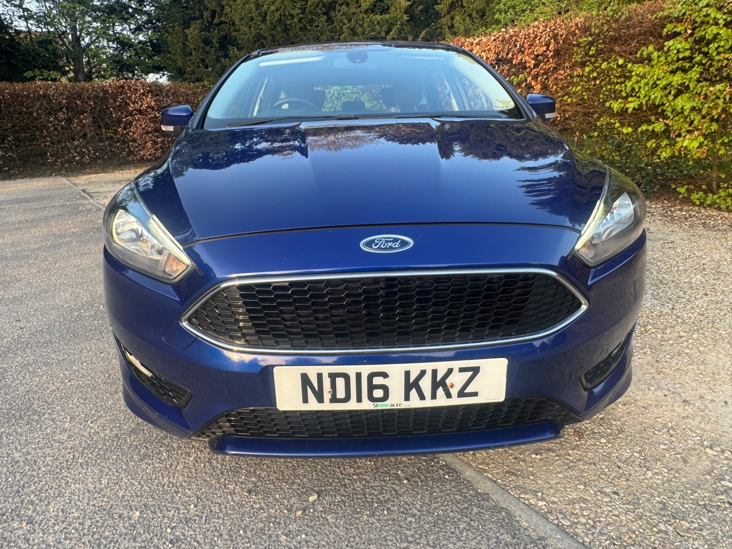 Used Ford Focus 2016 for sale - 78169435: Photo 11