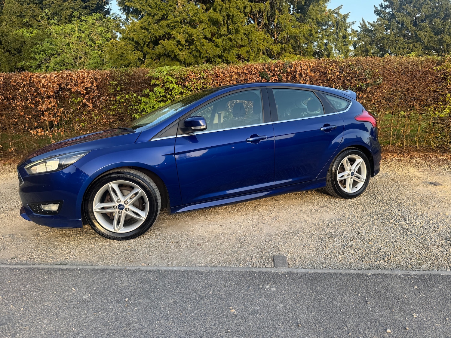 Used Ford Focus 2016 for sale - 78169435: Photo 5