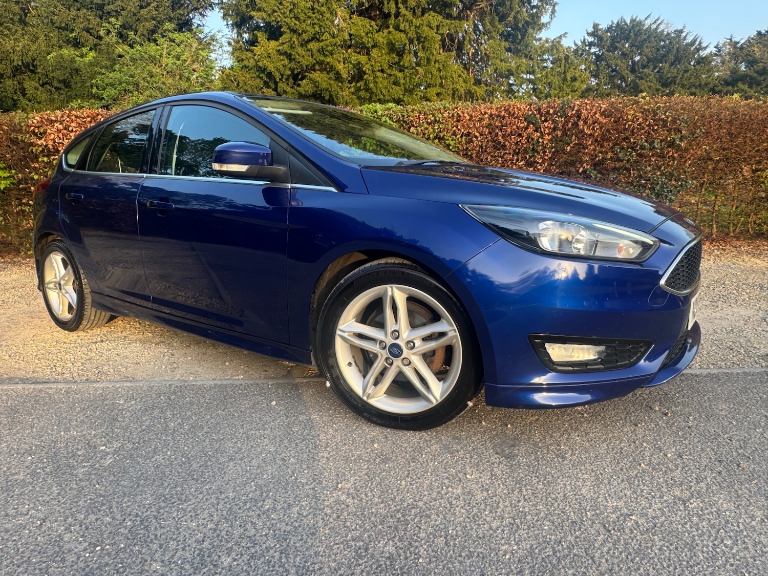 Used Ford Focus 2016 for sale - 78169435: Photo 7