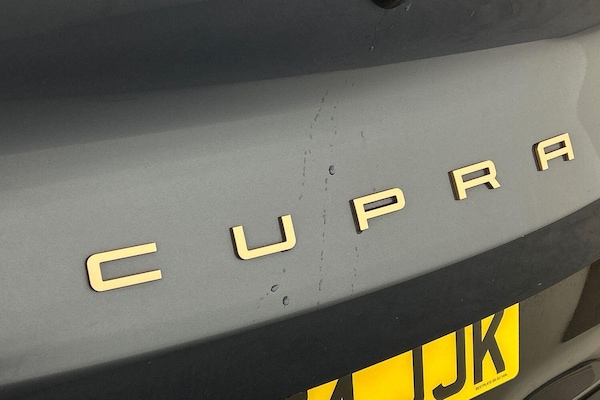 Used Cupra Tavascan 2025 for sale - 76201138: Photo 20