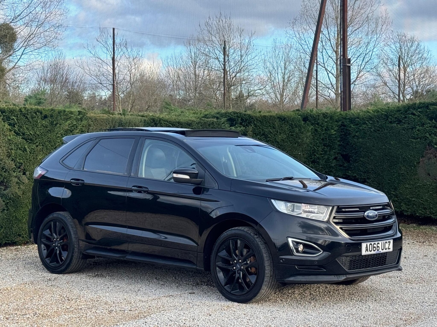 Used Ford Edge 2016 for sale - 78116498: Photo 2