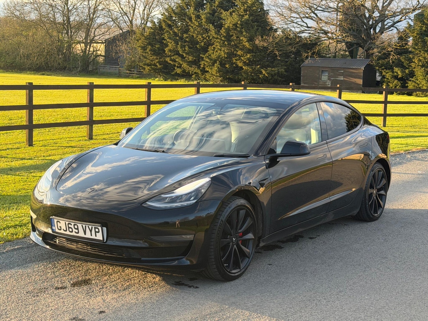Used Tesla Model 3 2019 for sale - 78115010: Photo 8