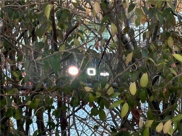 Used MG MGS6 2025 for sale - 77124558: Photo 15