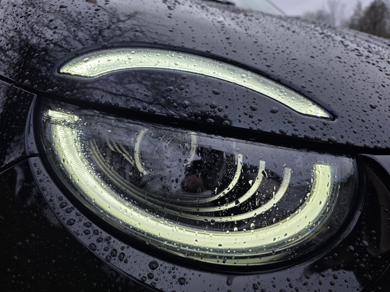 Used Fiat 500 2025 for sale - 77339422: Photo 13