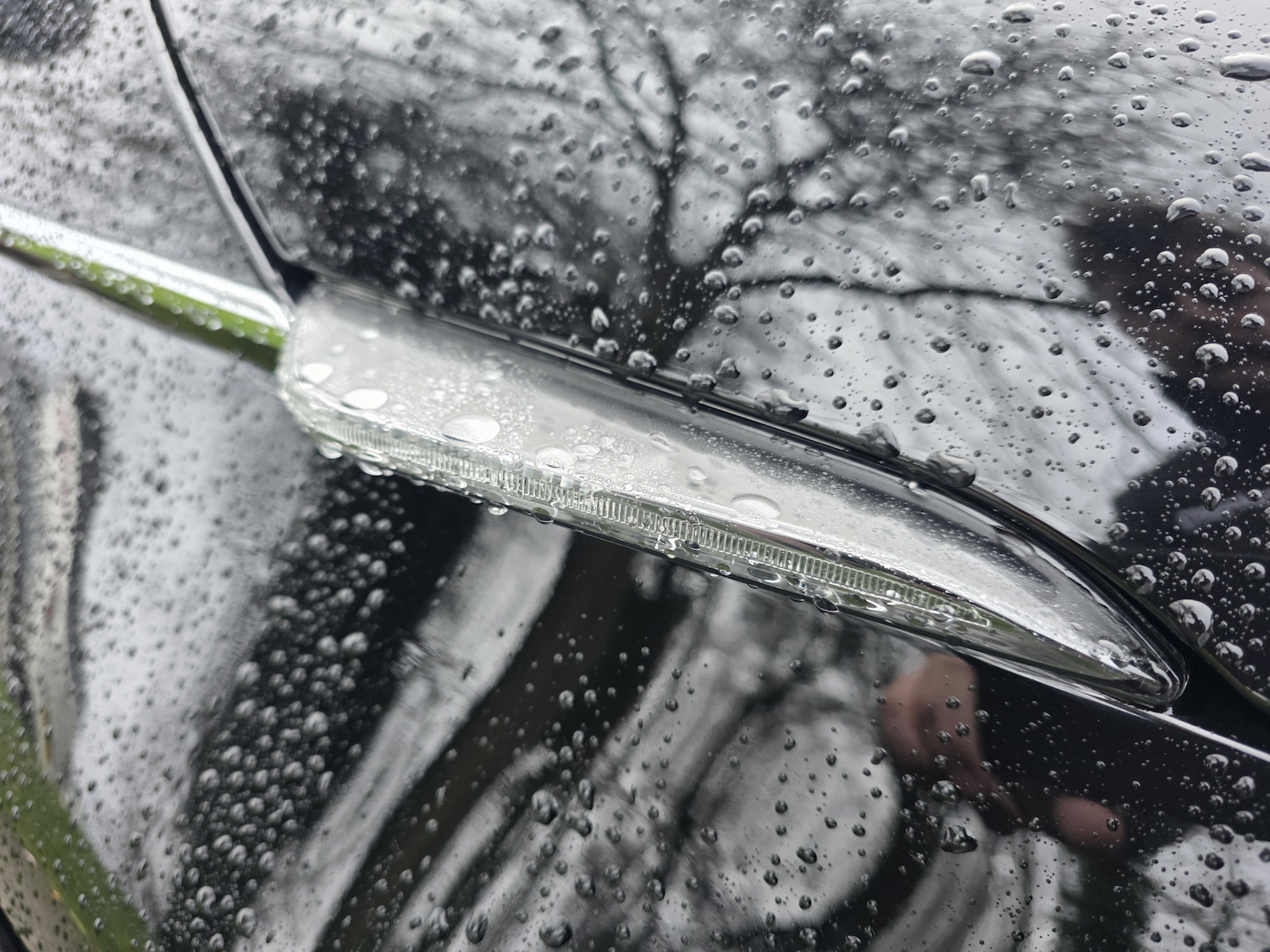 Used Fiat 500 2025 for sale - 77339422: Photo 15