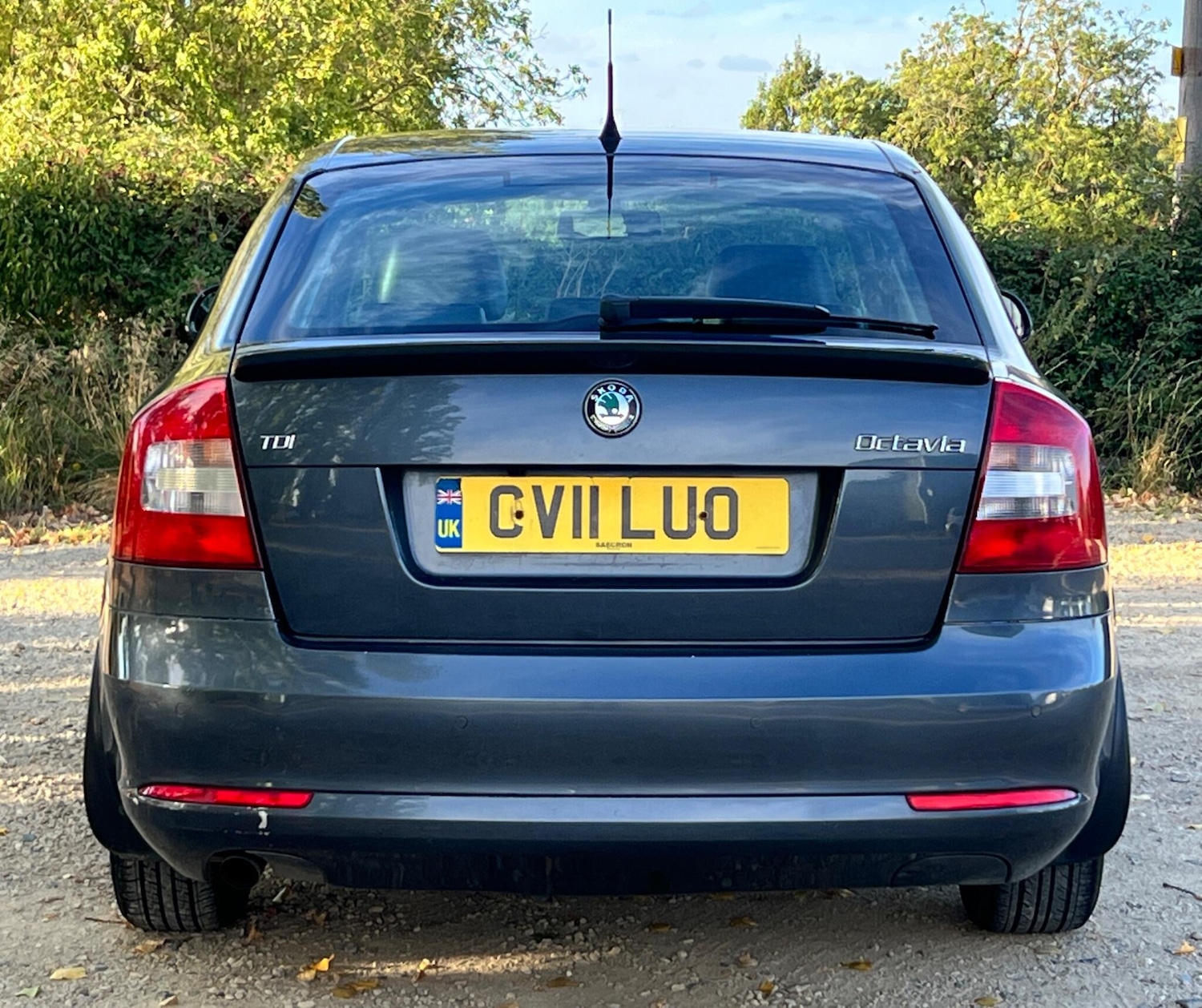 Vehicle 6
