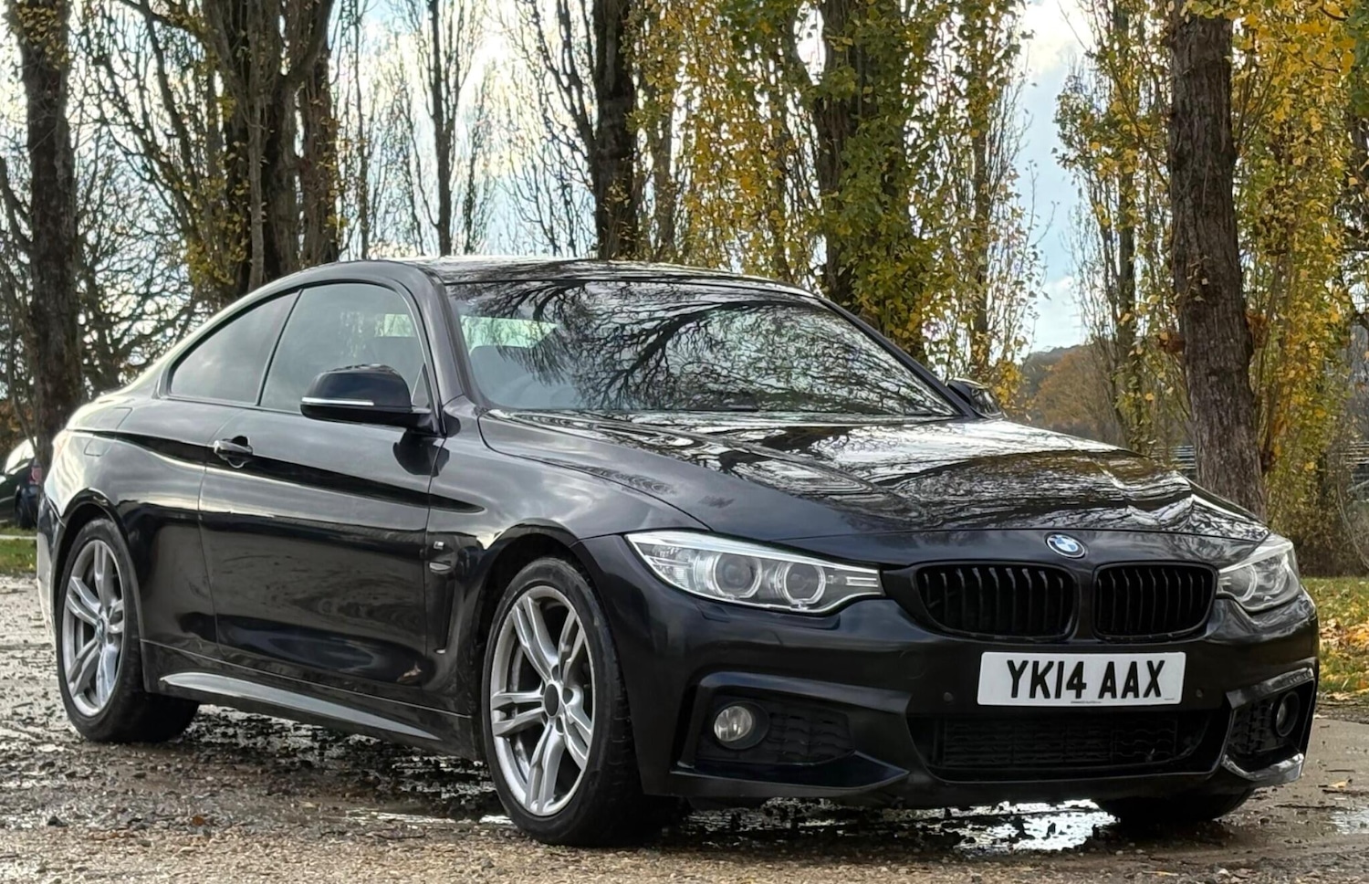 Used BMW 4 Series 2014 for sale - 76513499: Photo 1
