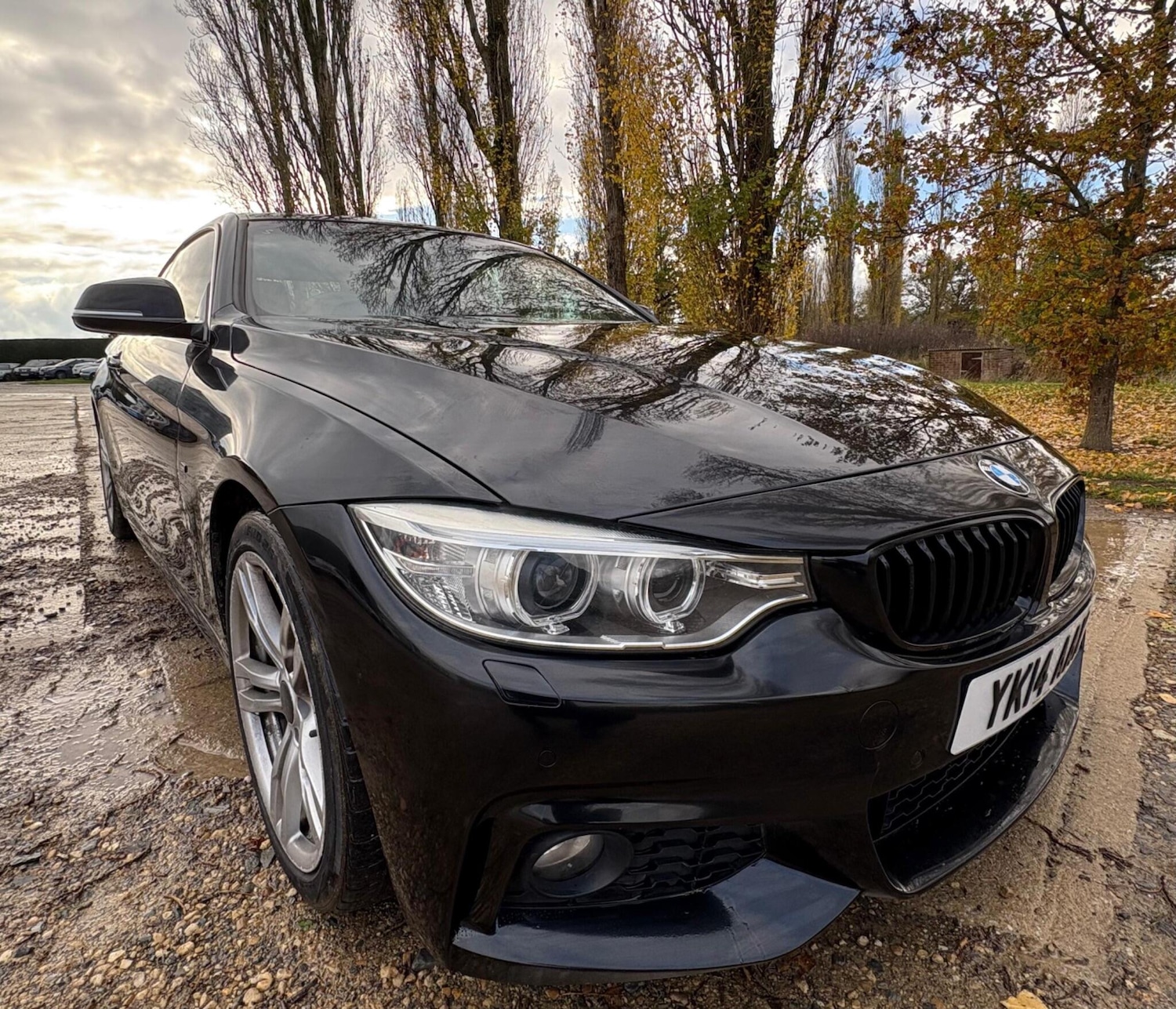 Used BMW 4 Series 2014 for sale - 76513499: Photo 12