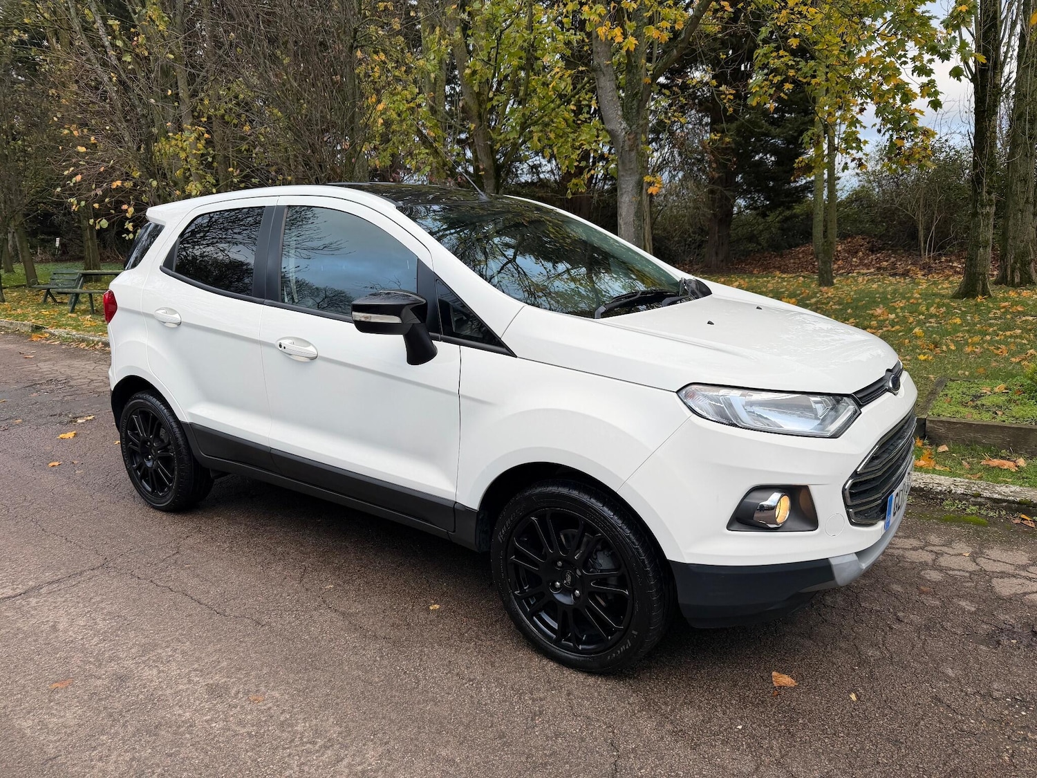 Used Ford Ecosport 2017 for sale - 76633558: Photo 1
