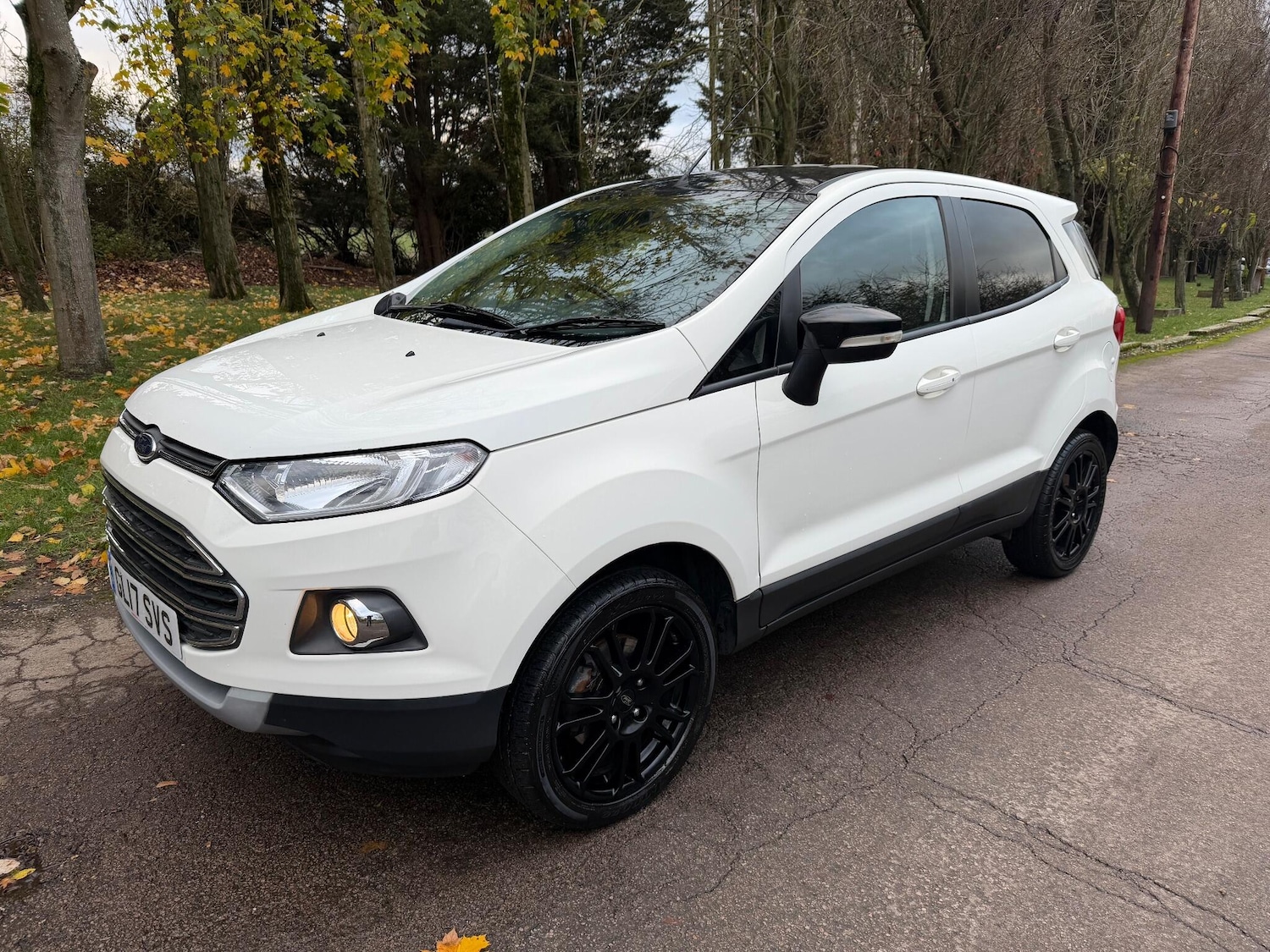 Used Ford Ecosport 2017 for sale - 76633558: Photo 2