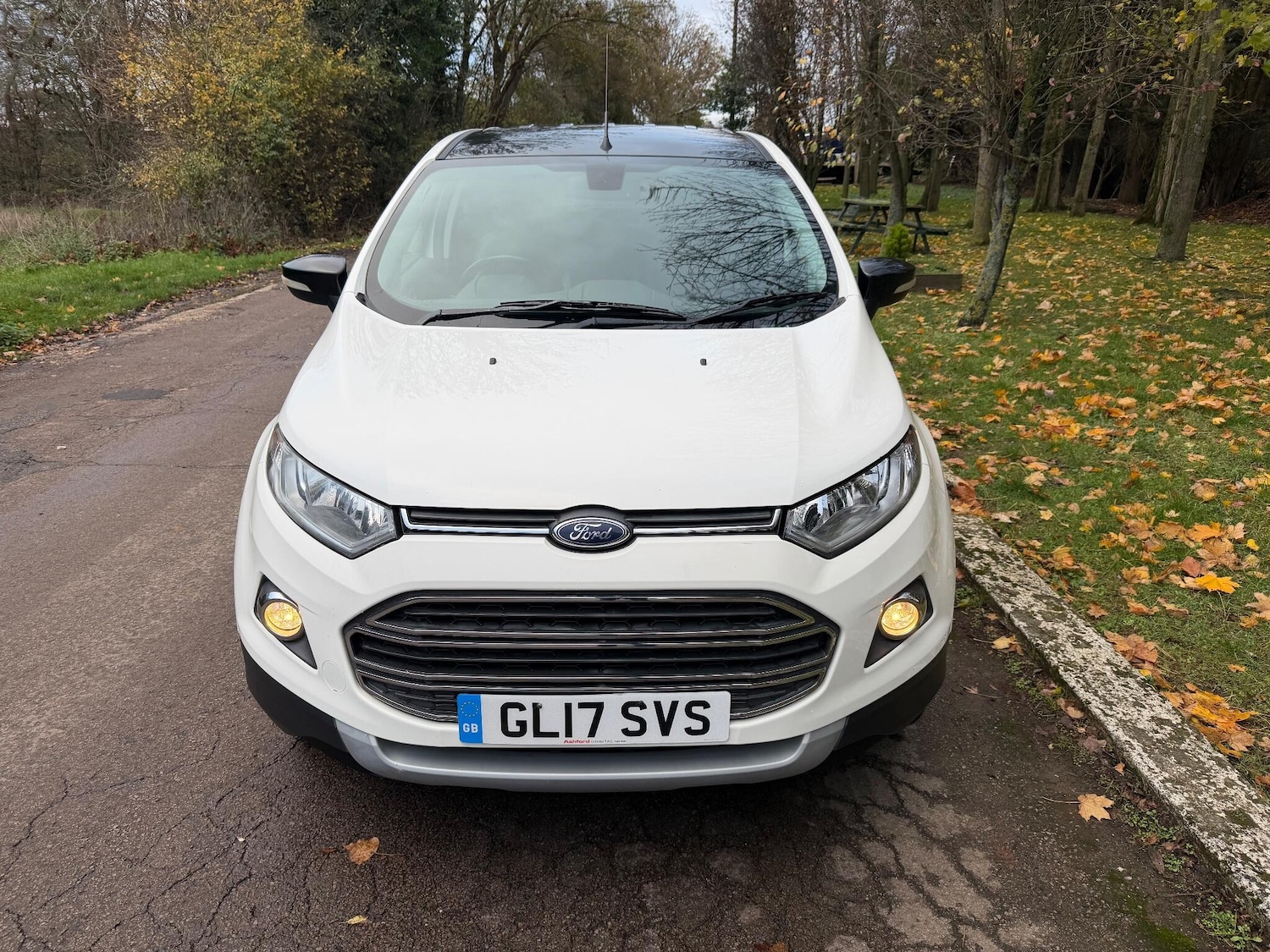 Used Ford Ecosport 2017 for sale - 76633558: Photo 4