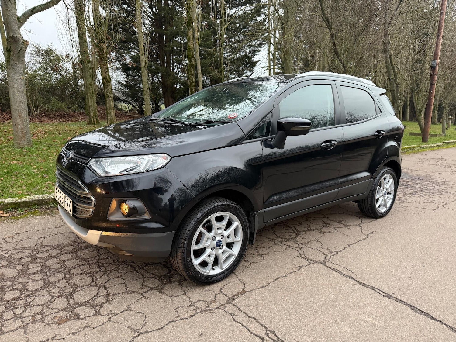 Used Ford Ecosport 2015 for sale - 77331089: Photo 2