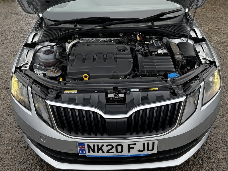 Used Skoda Octavia for sale - 76578173: Photo 17