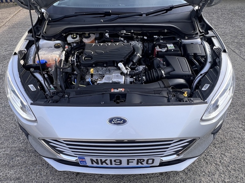 Used Ford Focus 2026 for sale - 77990208: Photo 20