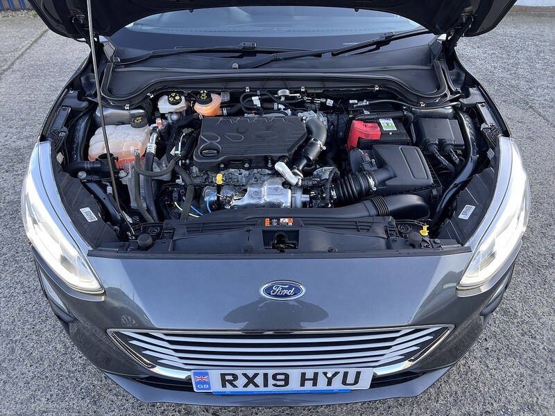 Used Ford Focus for sale - 77765880: Photo 22