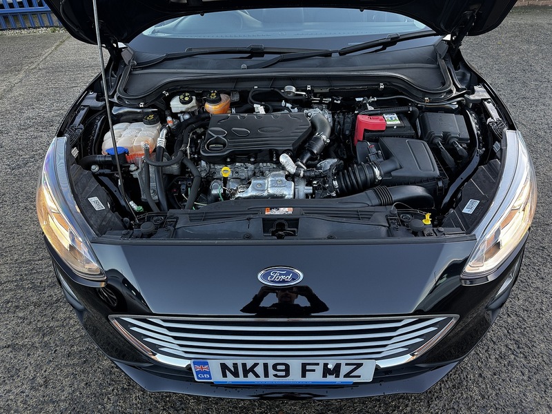 Used Ford Focus 2025 for sale - 76784494: Photo 11