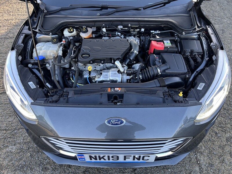 Used Ford Focus 2019 for sale - 76884434: Photo 20