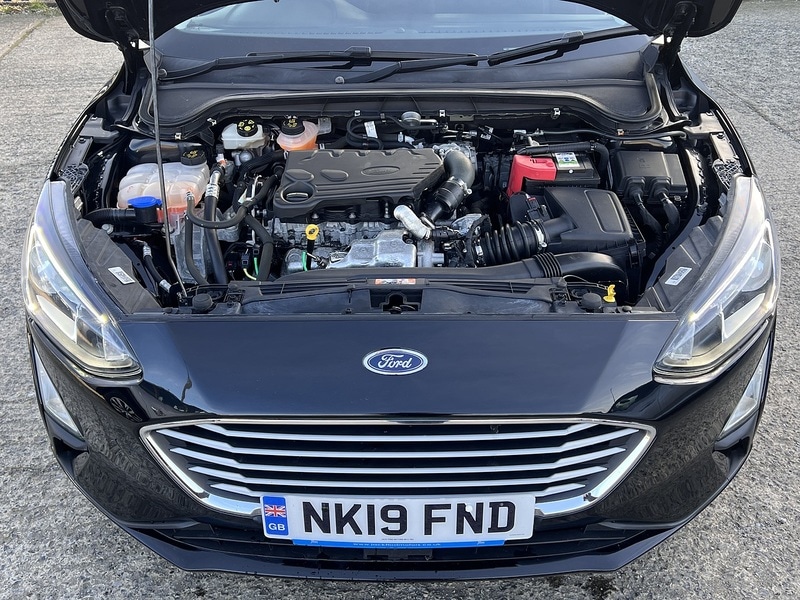 Used Ford Focus 2025 for sale - 77605236: Photo 23