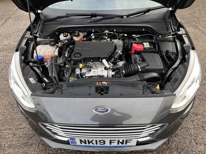 Used Ford Focus 2025 for sale - 77154013: Photo 20