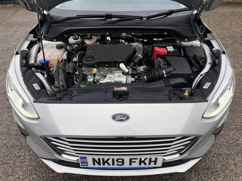 Used Ford Focus 2025 for sale - 77517534: Photo 22