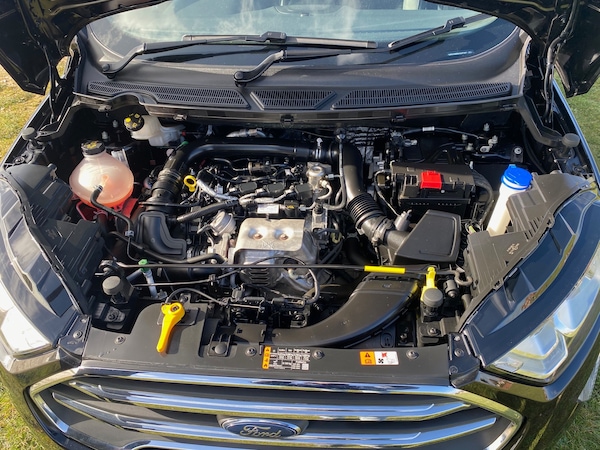 Used Ford Ecosport 2020 for sale - 62326528: Photo 17