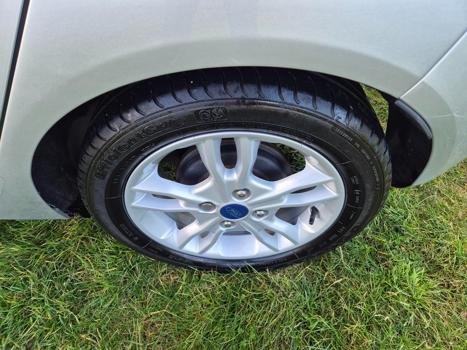 Used Ford Fiesta 2015 for sale - 76635030: Photo 15