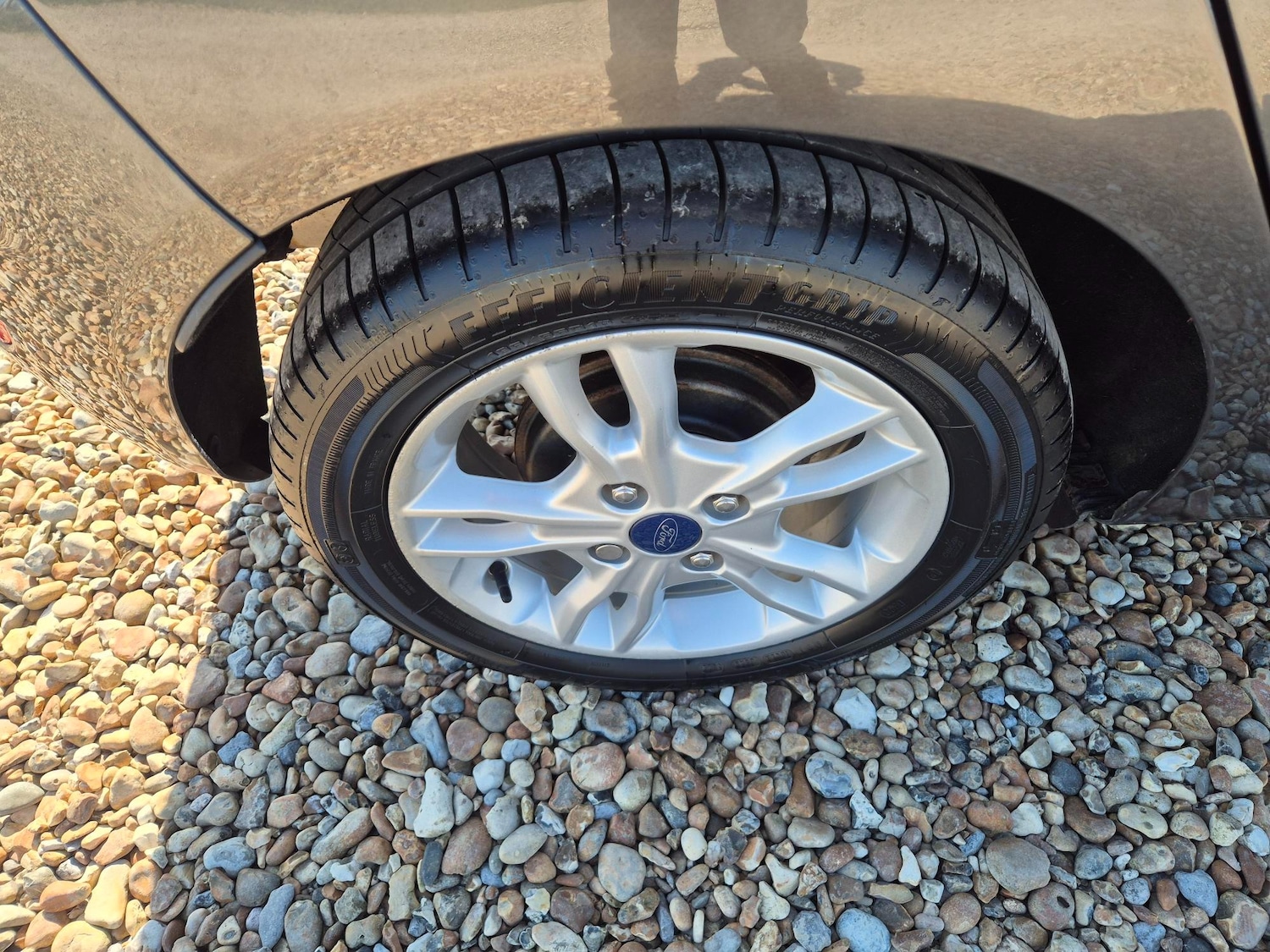 Used Ford Fiesta 2016 for sale - 77981414: Photo 13