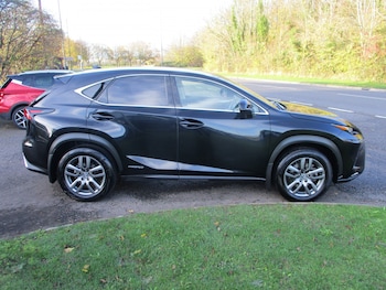Used Lexus NX 2018 for sale - 76769935: Photo