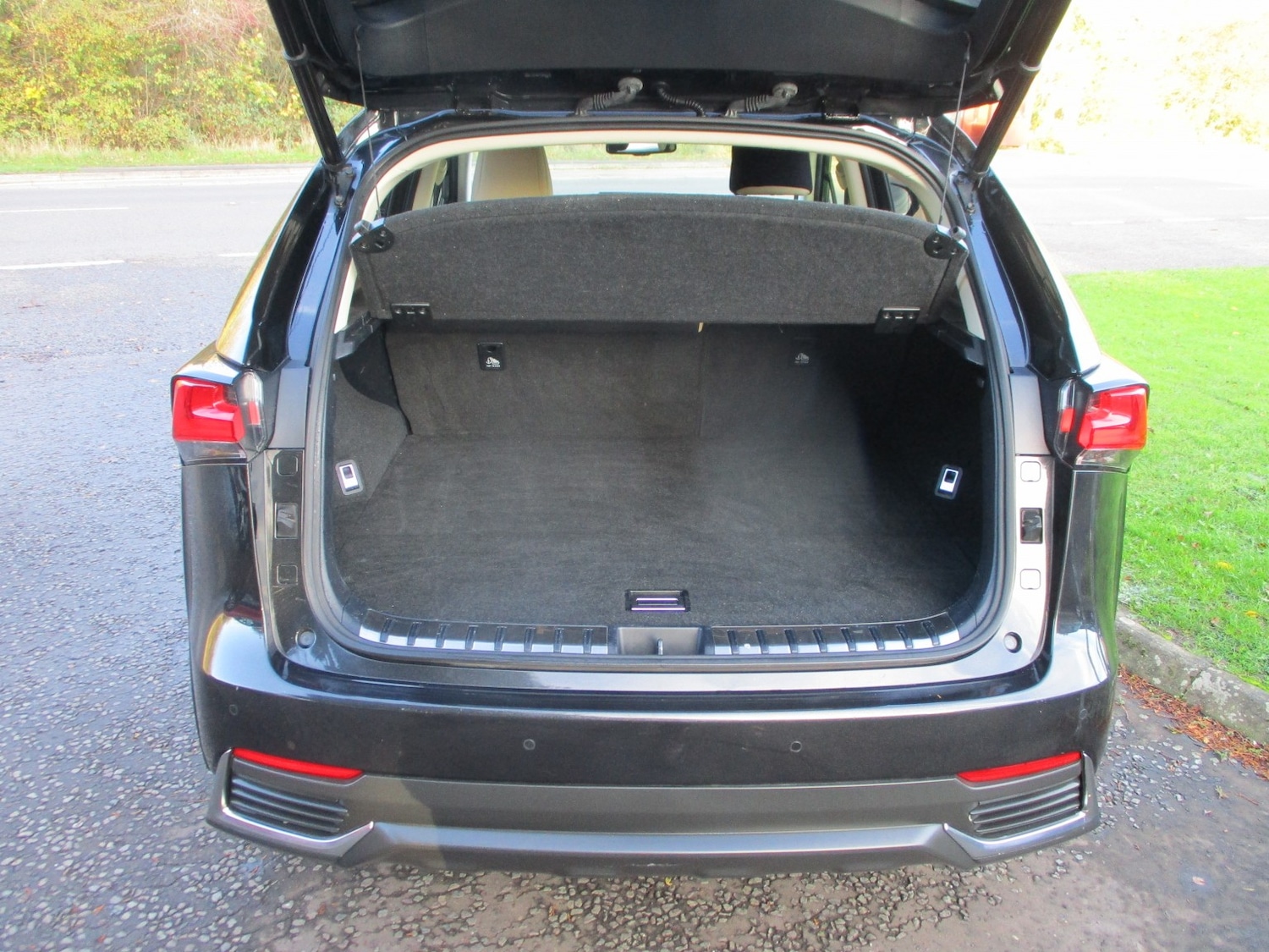 Used Lexus NX 2018 for sale - 76611411: Photo 11