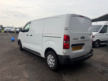 Used Peugeot Expert 2020 for sale - 79259291: Photo