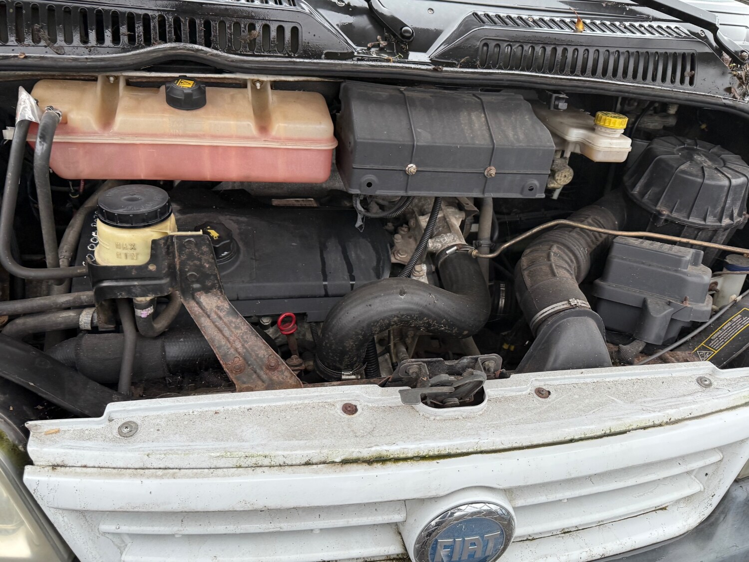 Used Fiat Ducato 2004 for sale - 76762036: Photo 22