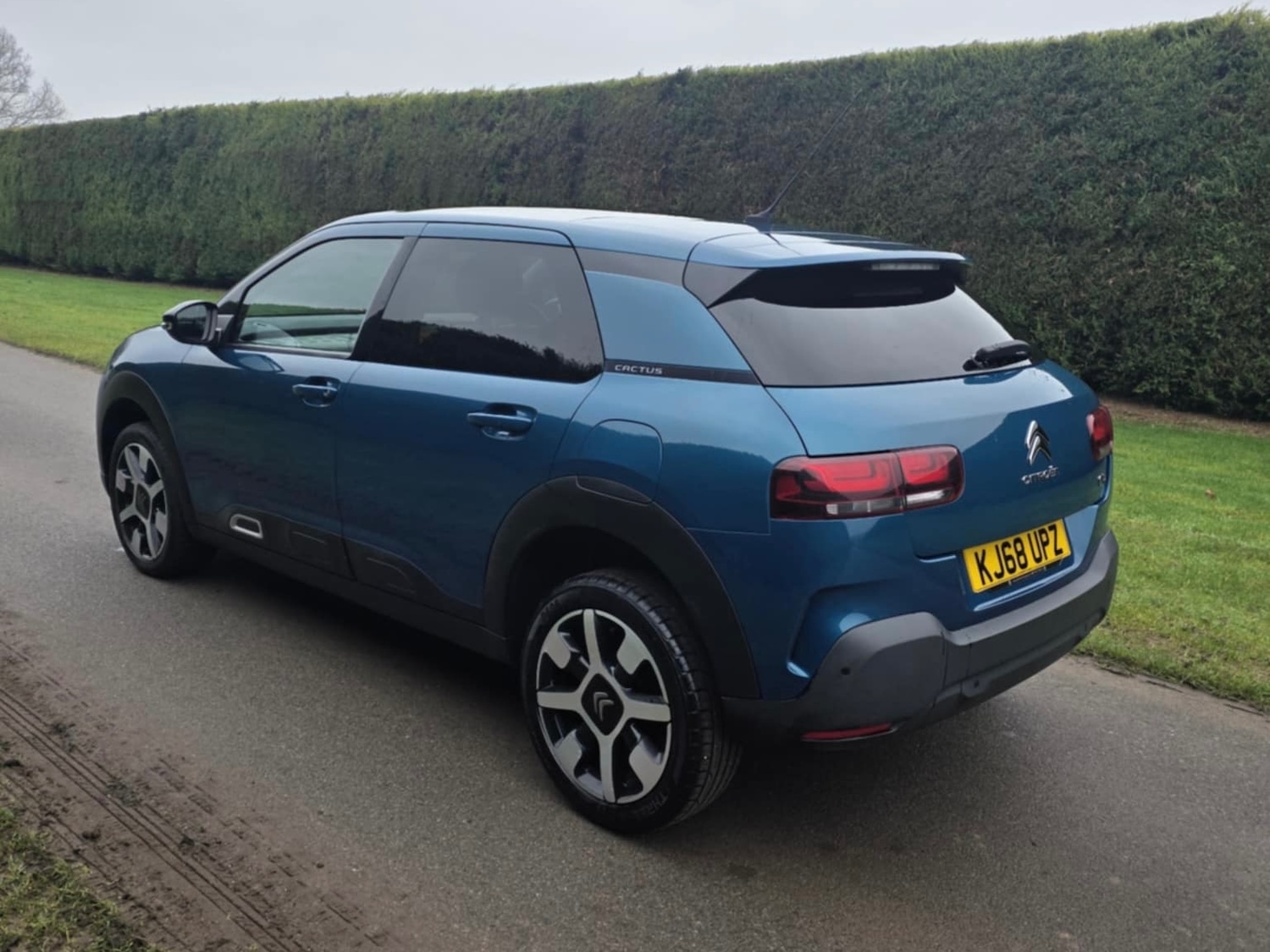 Used Citroen C4 Cactus 2019 for sale - 77323904: Photo 5