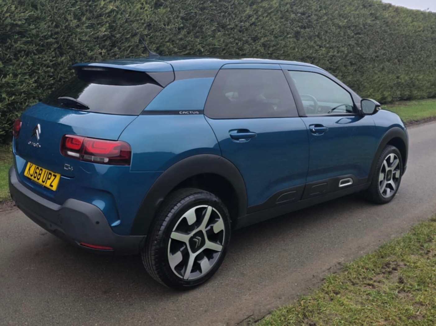 Used Citroen C4 Cactus 2019 for sale - 77323904: Photo 9