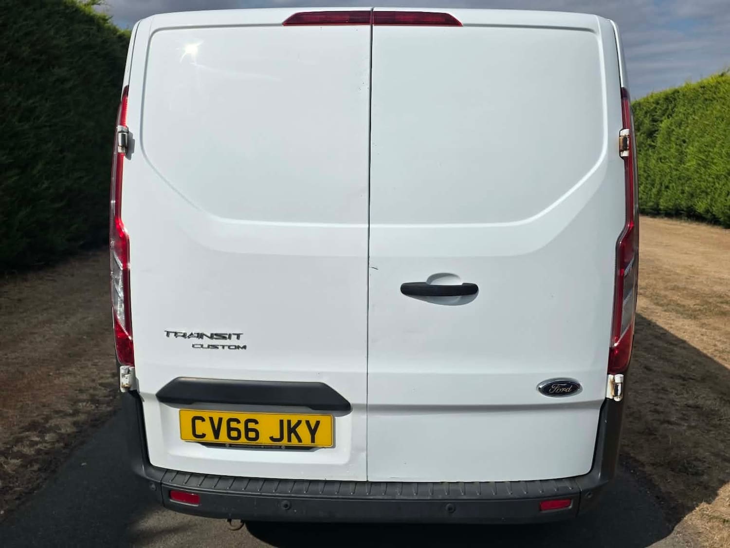 Ford Transit custom 2.2 TDCi 125ps Low Roof Trend Van