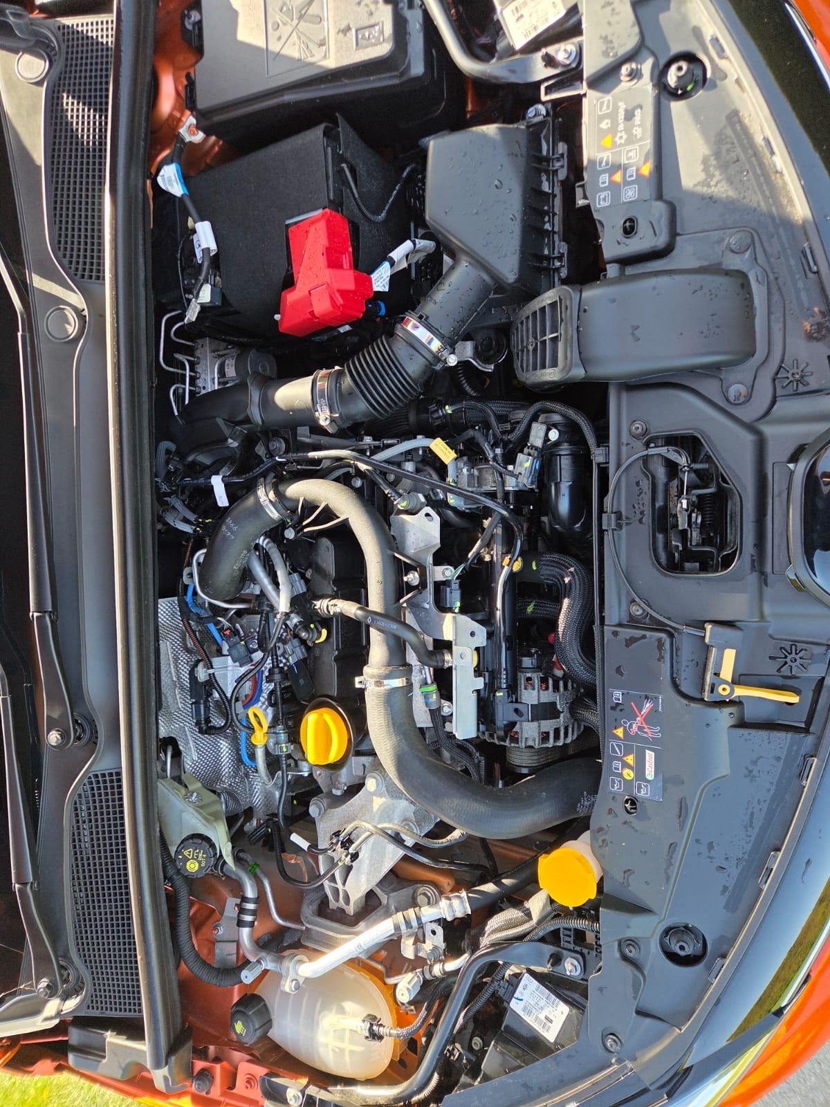 Used Renault Clio 2022 for sale - 78175618: Photo 20