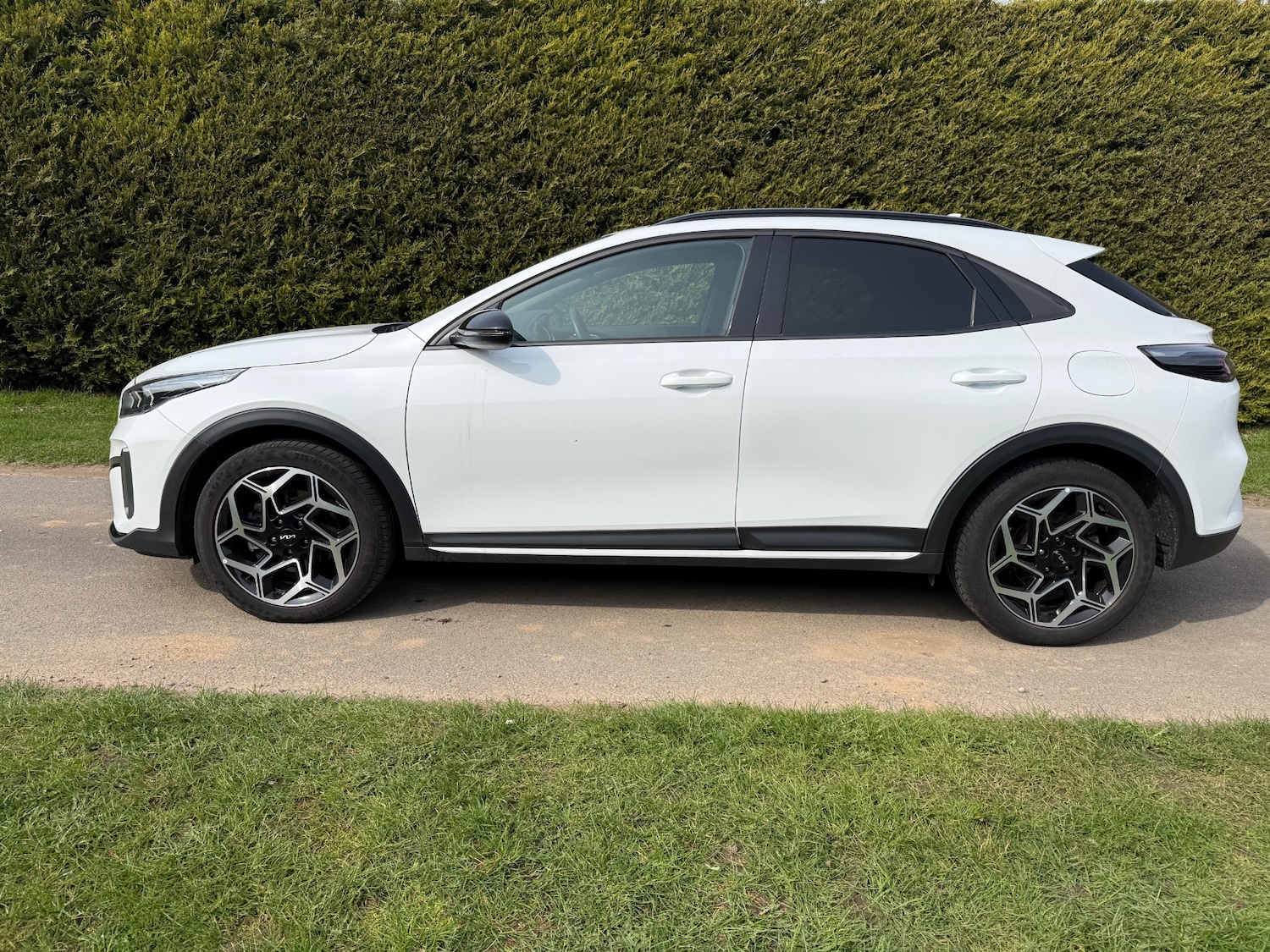 Used Kia XCeed 2024 for sale - 77962345: Photo 5