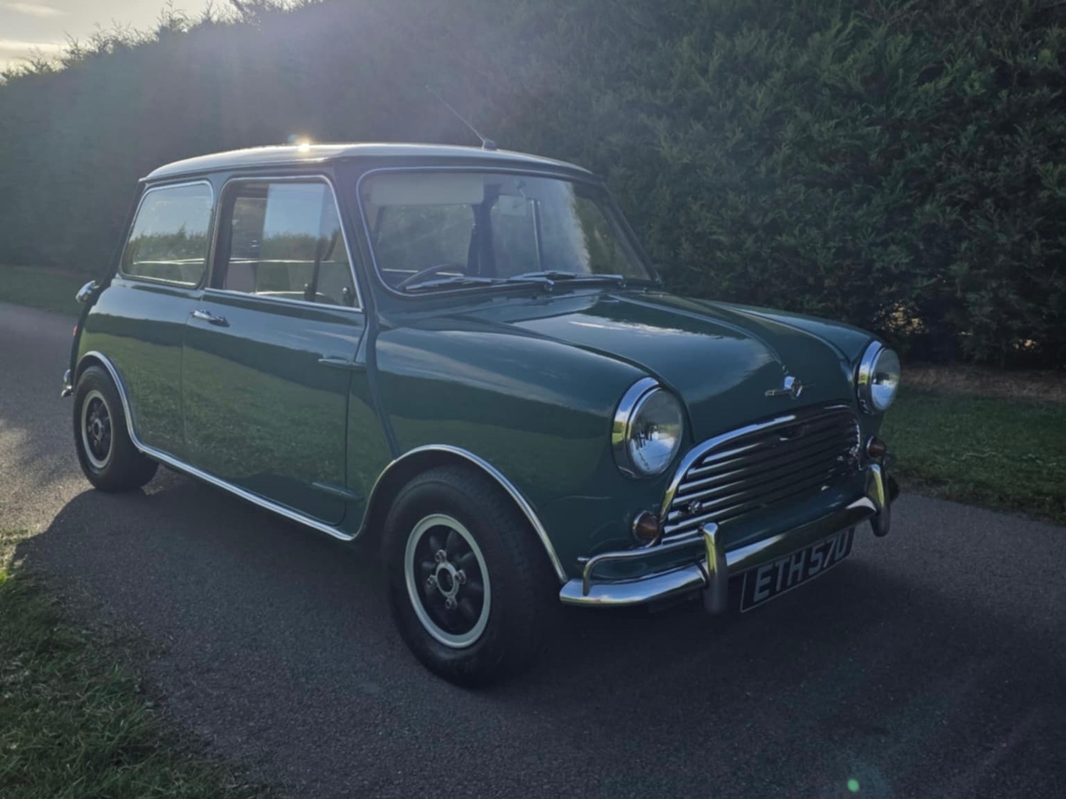 Used Morris Mini 1966 for sale - 76184168: Photo 1