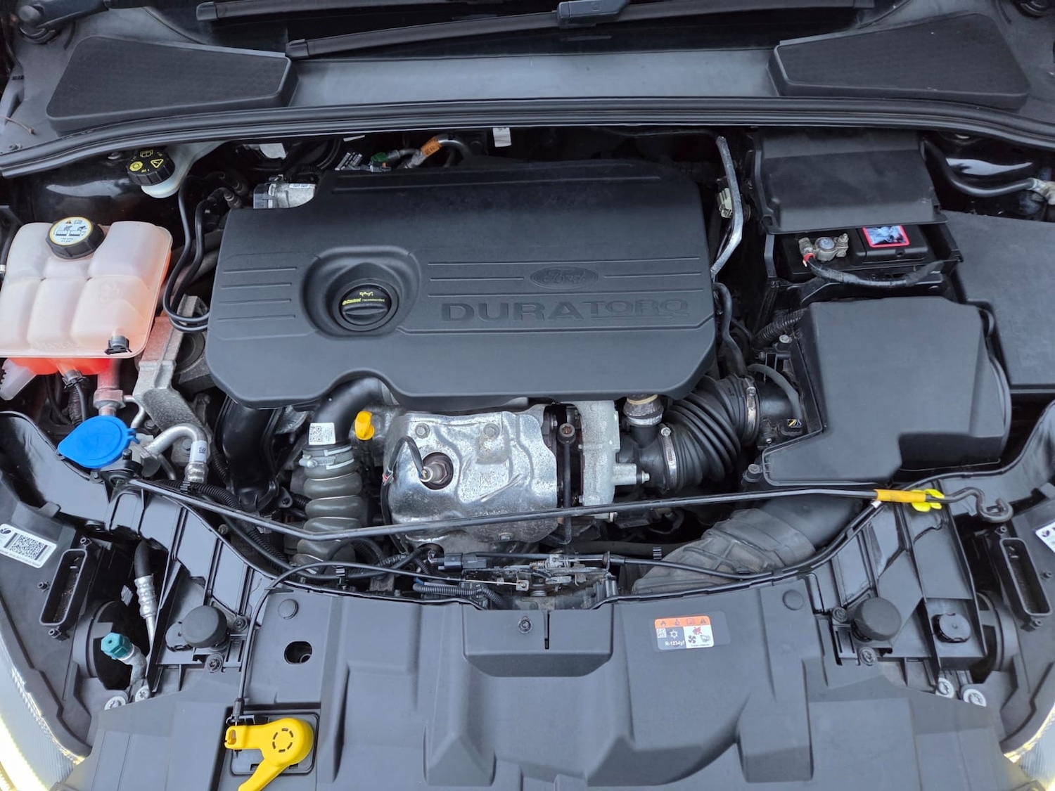 Used Ford Focus 2017 for sale - 77701978: Photo 17