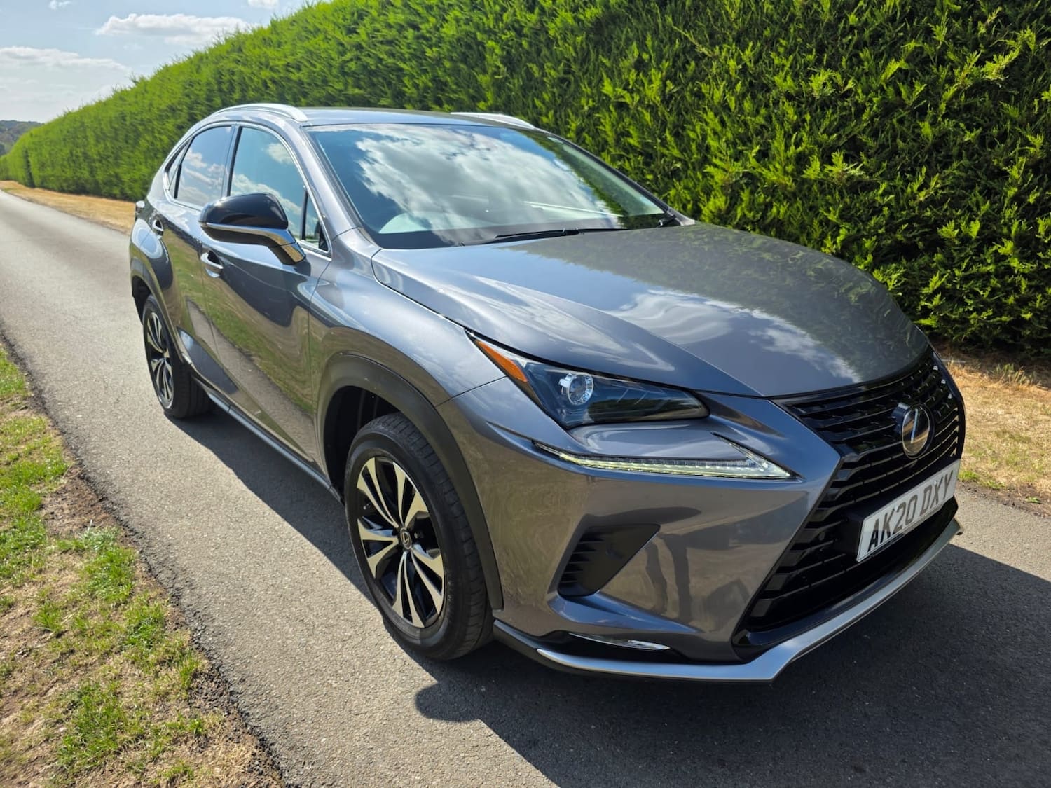 Lexus Nx 300h 2.5 5dr CVT [8]