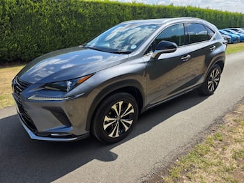 Used Lexus NX 2020 for sale - 79628242: Photo