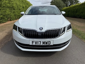 Used Skoda Octavia 2017 for sale - 75700348: Photo