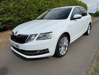Used Skoda Octavia 2017 for sale - 75700348: Photo
