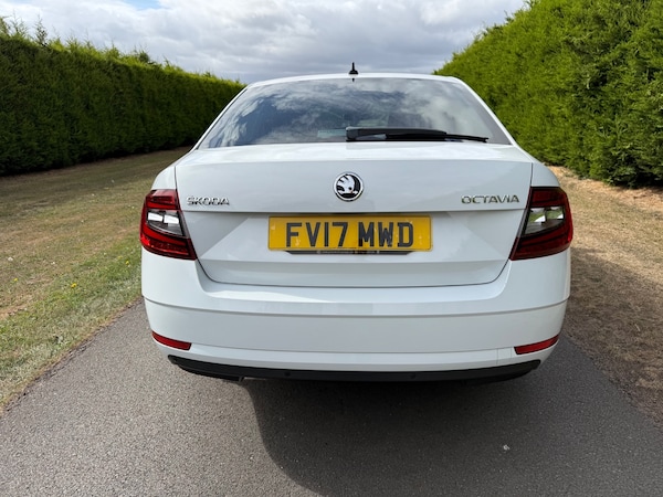 Used Skoda Octavia 2017 for sale - 75700348: Photo 7