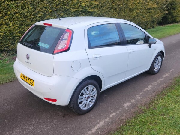 Used Fiat Punto 2014 for sale - 73825475: Photo 11