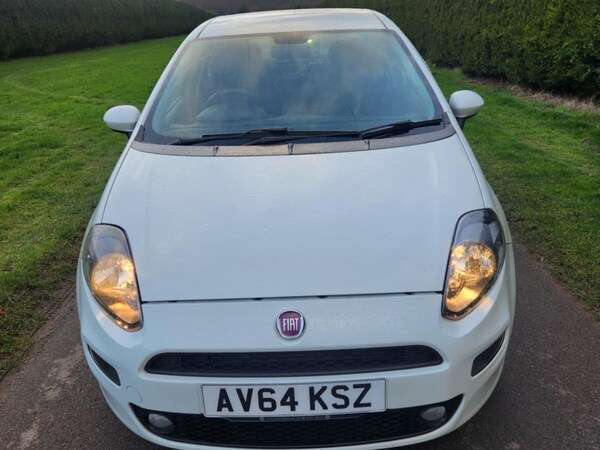 Used Fiat Punto 2014 for sale - 73825475: Photo 2