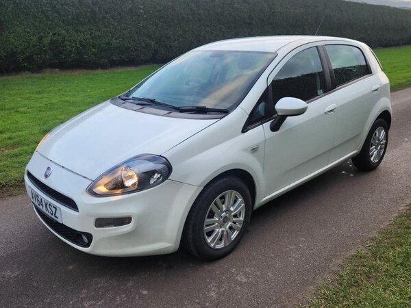 Used Fiat Punto 2014 for sale - 73825475: Photo 3