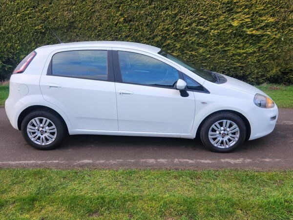 Used Fiat Punto 2014 for sale - 73825475: Photo 5