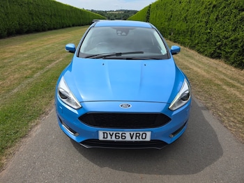 Used Ford Focus 2016 for sale - 79041911: Photo
