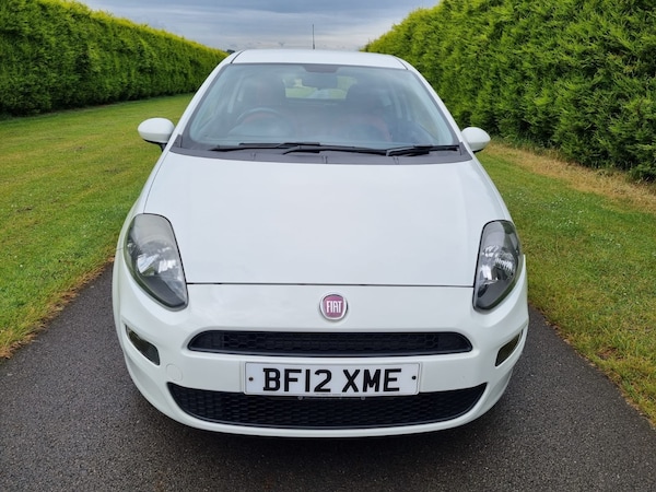 Used Fiat Punto 2012 for sale - 71544157: Photo 2