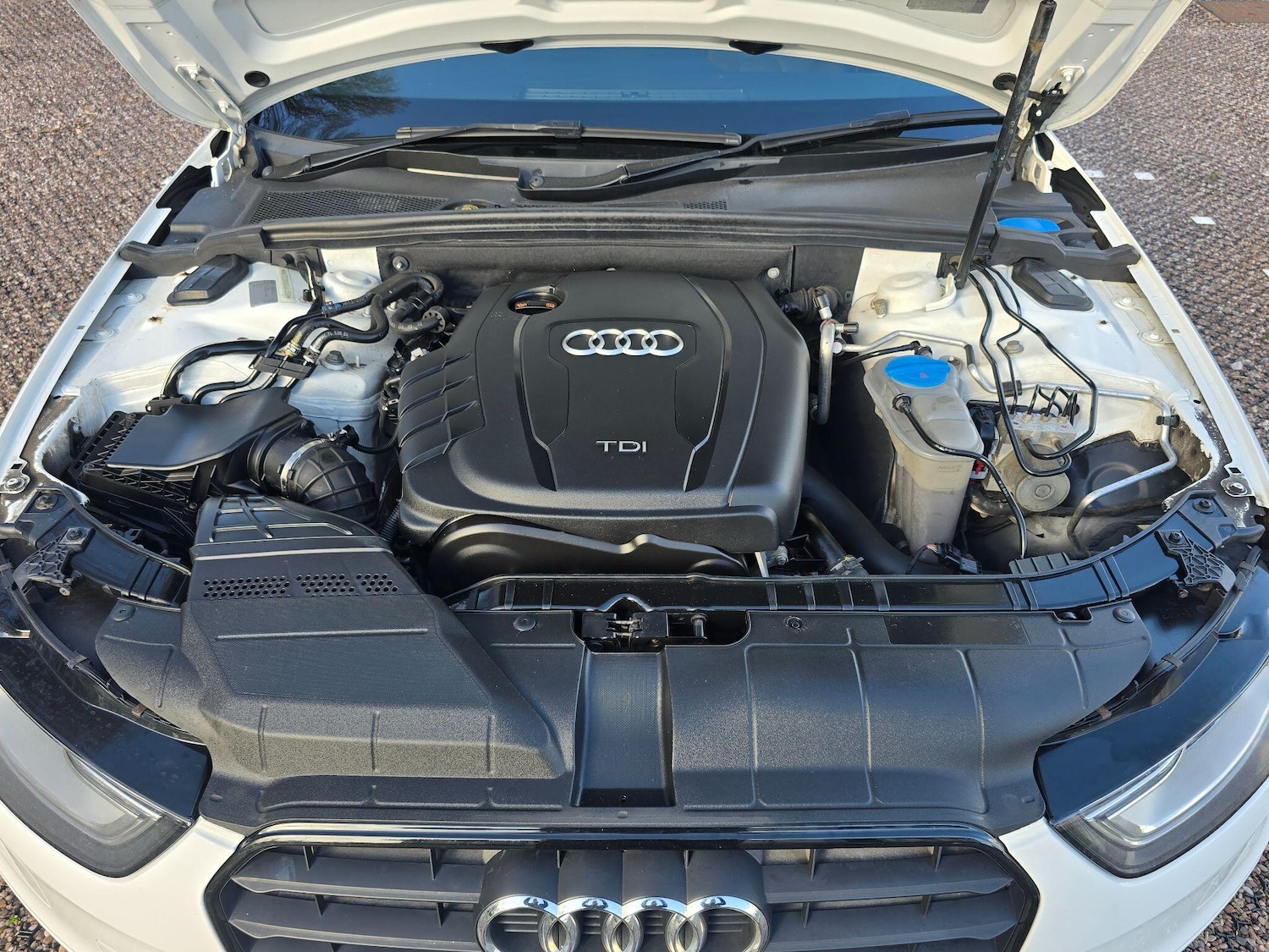 Used Audi A4 Avant for sale - 77657493: Photo 38